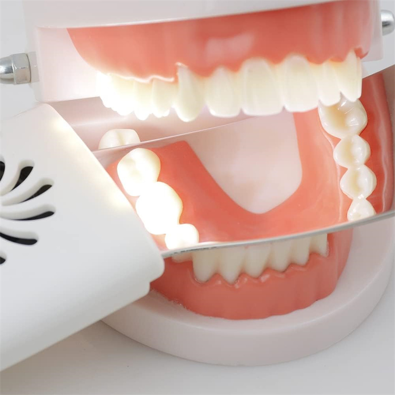 LED 조명이있는 치과 용 안개 방지 거울 치열 교정  - Photography Lighting Reflectors 리뷰 및 가격